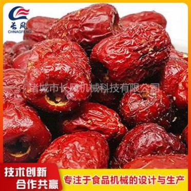 长风机械 龙虾尾真空油炸机 什锦果蔬脆真空油炸机
